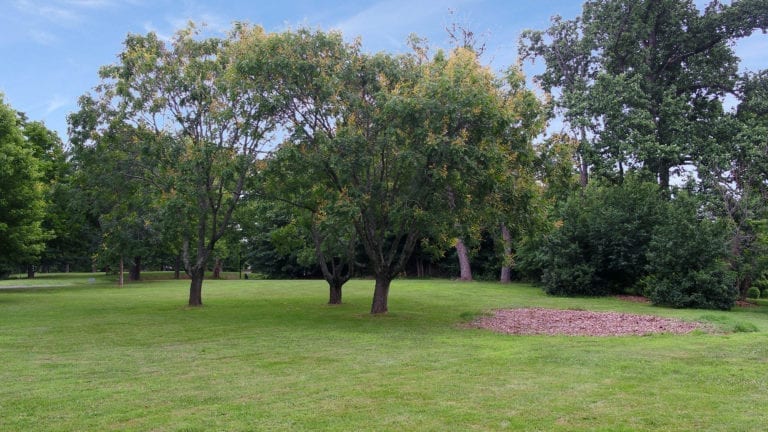 Proposal for Referendum on Open Space Trust Fund Reallocation Receives Commissioners’ OK