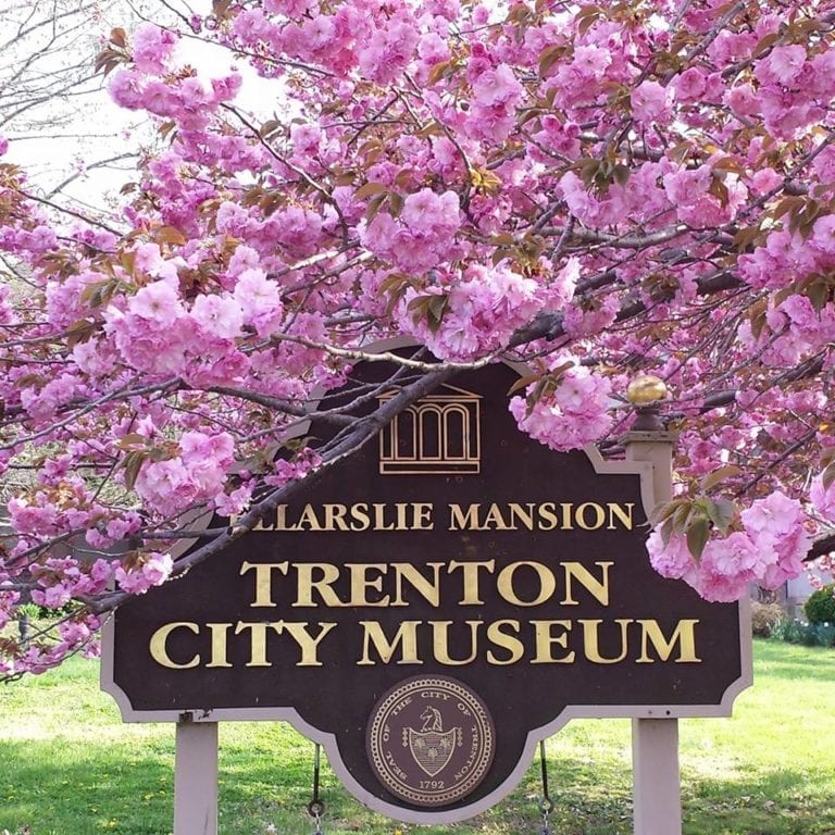 Busy Times at the Ellarslie Museum