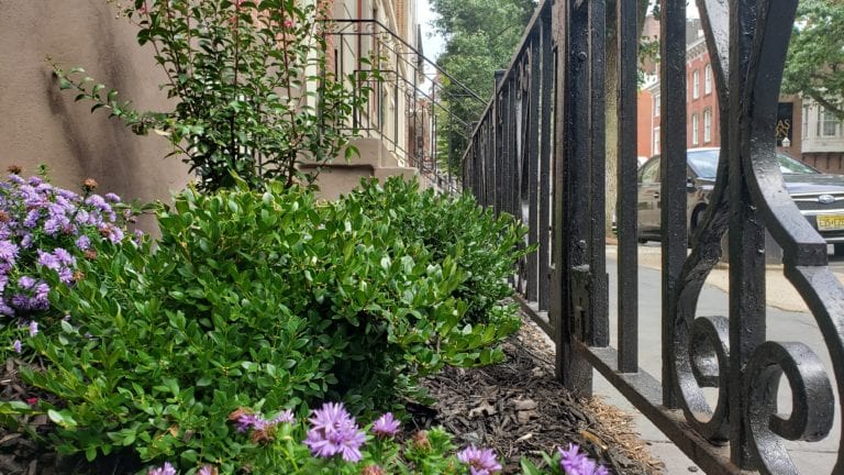 Greater Trenton Creates Front Entrance Garden as Fall Approaches