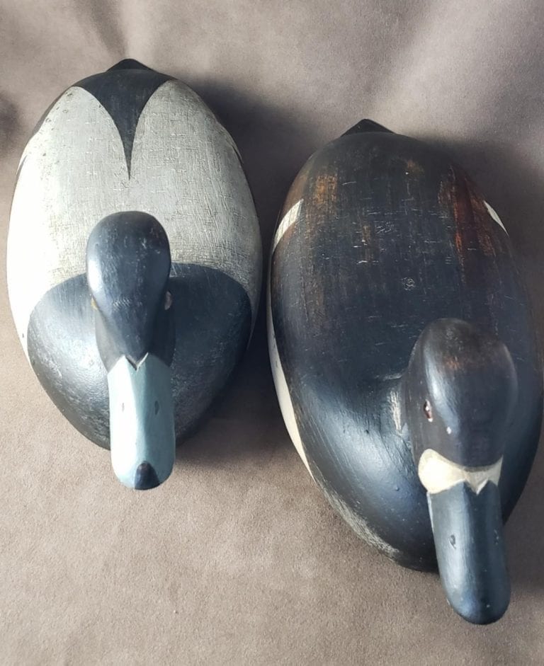 Trenton Eclectric Series to Feature Allen Linkchorst