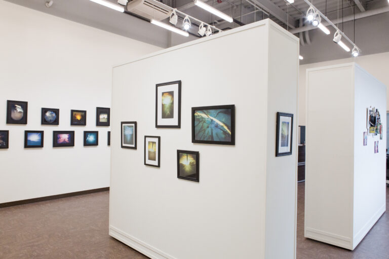 “Resist Convenience”: MCCC’s JKC Gallery Hosts Long-Awaited In-Person Exhibit