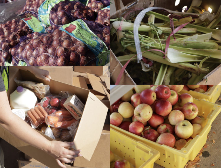 TASK and NJ Rise Thrift Store Partner to Provide 100,000 lbs of Food to Families