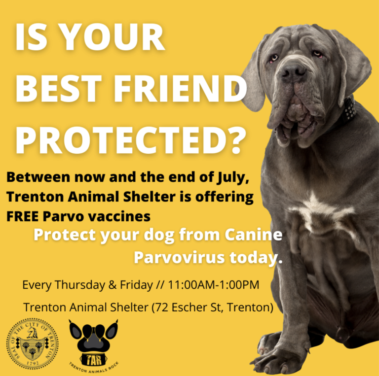 Trenton Animal Shelter to Offer Free Parvo Vaccine Clinic for City Dogs