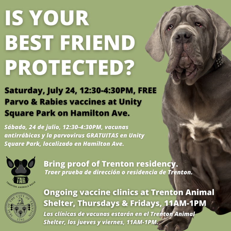 Trenton Animal Shelter to Host Free Rabies and Parvo Vaccine Clinic for City Dogs