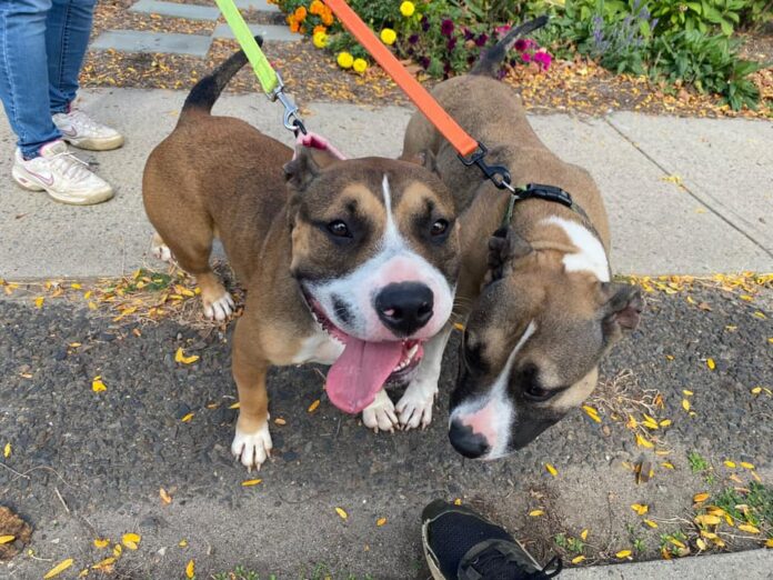 245242494_3186793664940749_8538579923324823377_n