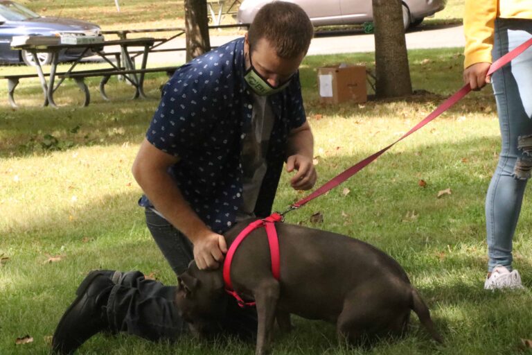 Weekend Pause4Paws Event Gathers Pet Lovers at Trenton City Museum