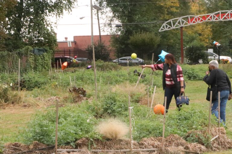 Trenton Residents Pick Their Own Free Produce at Harvest Festival