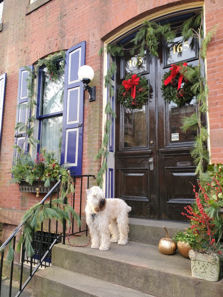 Trenton’s Mill Hill Holiday House Tour Returns