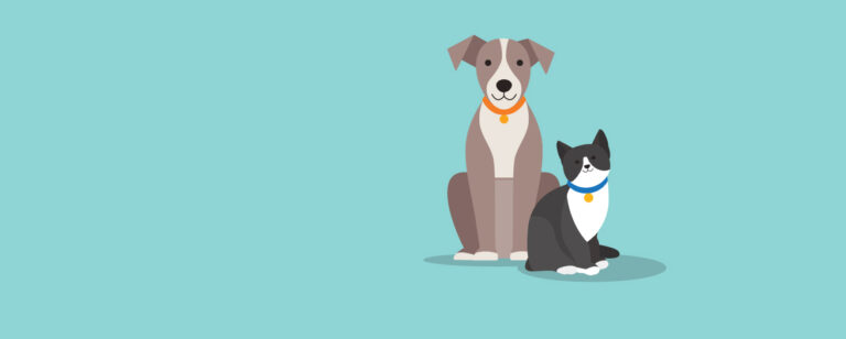 City of Trenton to Host Free Rabies Clinic for Dogs and Cats