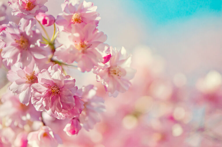 Spring Into Student Success with Mercer County Community College