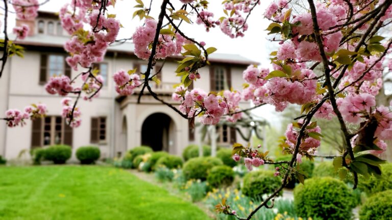 Celebrate EO40 at the Trenton City Museum