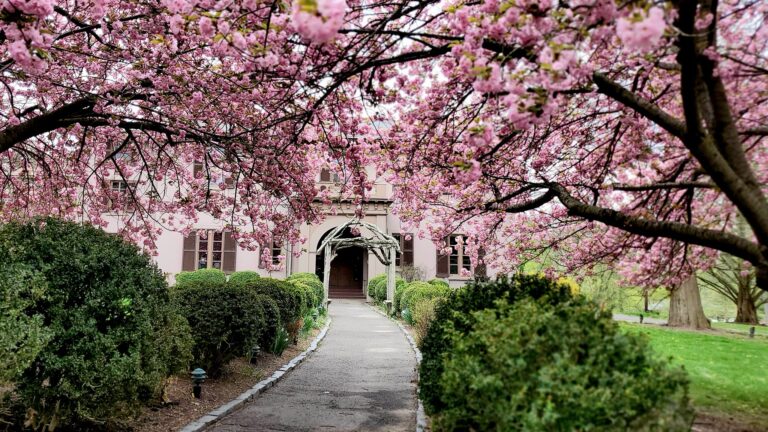 Trenton City Museum Announces Family Photo Shoot and Flower Pot Painting