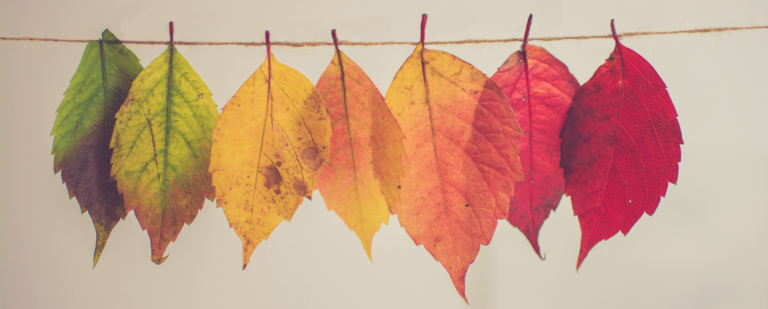 November Brings Gratitude and Giving: Replenishing Local Food Banks; Celebrating Native American Heritage Month; and Honoring Local Tuskegee Airmen ‘Red Tails’ of WWII