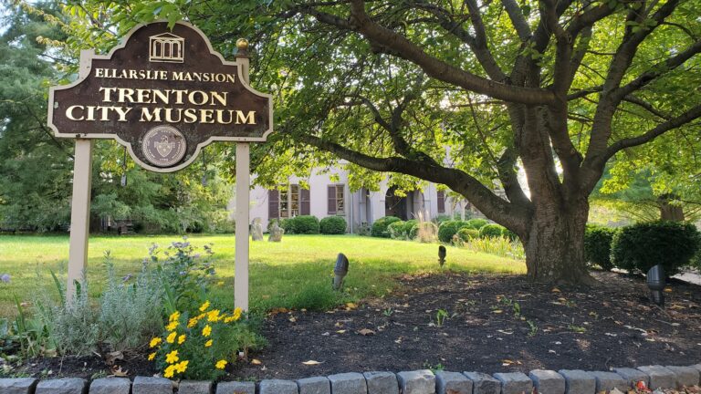 Get Ready for November’s Freedom Fridays