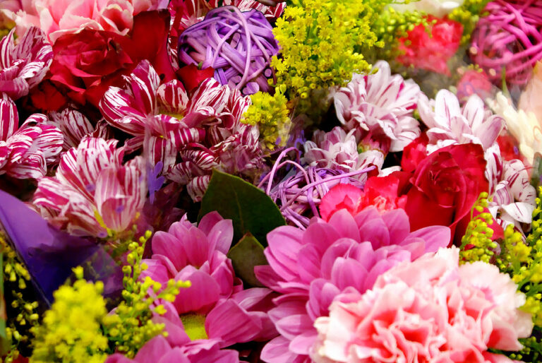 Learn the Language of Flowers with the NJSL