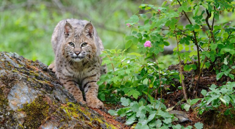 April’s Small Explorers Announced at New Jersey State Museum