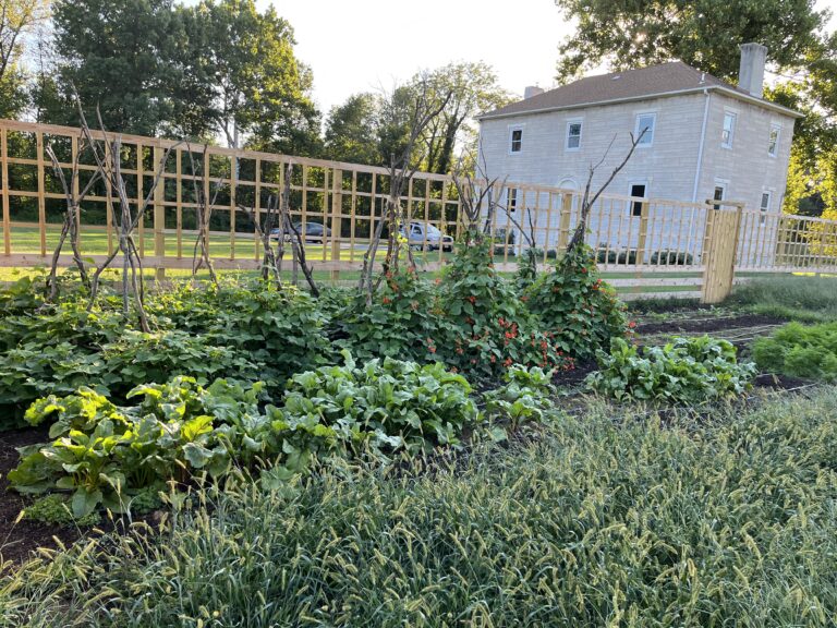 Trenton Residents Encouraged to Apply for D&R Greenway Summer Fellowship