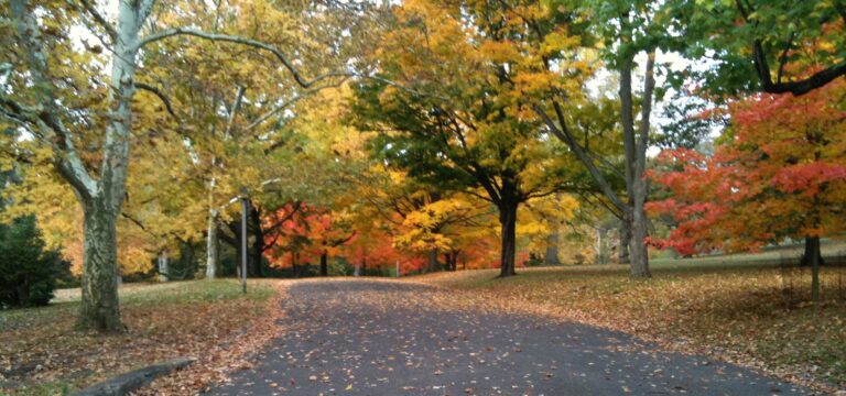 Trenton’s Cadwalader Park Welcomes Back High School Cross Country Competitions with Debut of Championship Course