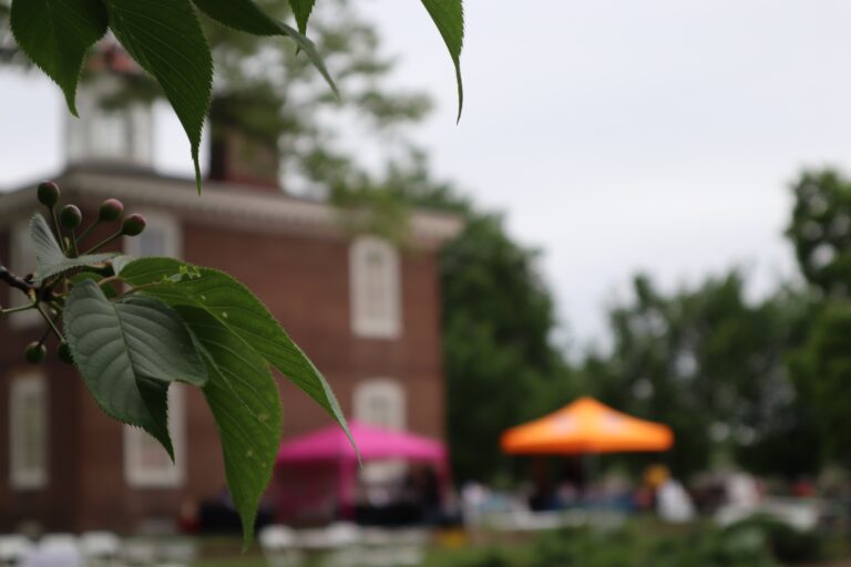 Festival de la Familia Celebrates Culture and Community