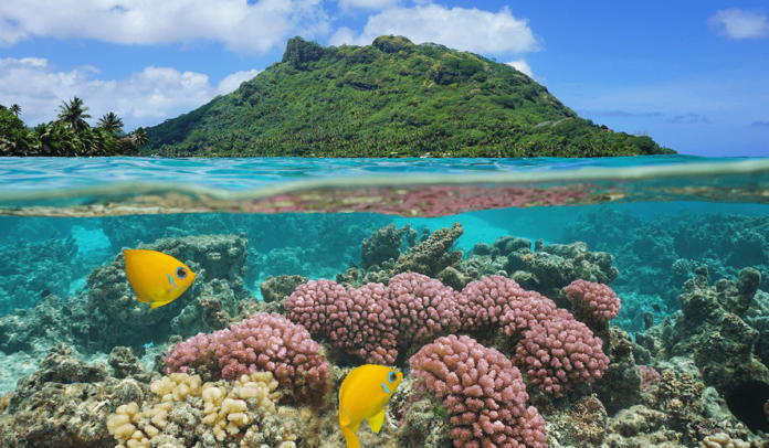 howcanyoumaintaintheecosystems_landscapeofHuahineisland_featured