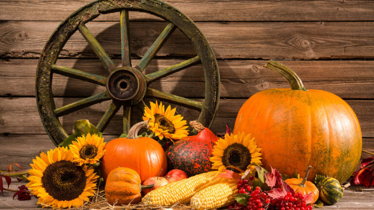 Celebrate Thanksgiving Sustainably: Easy Ways to Reduce Waste and Give Back with TerraCycle